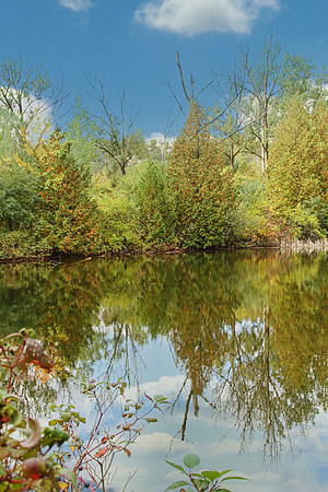 Rouge National Urban Park, Coyote Trail