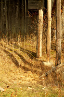 Walker Woods Nov 20/2020
