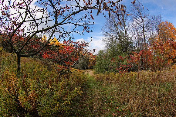 Pefferlaw Creek Farms Oct 20/2020