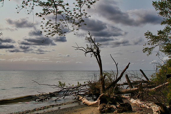 Lynde Shores Sept 15/2020