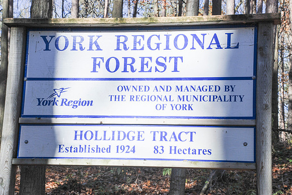 Hollidge Tract