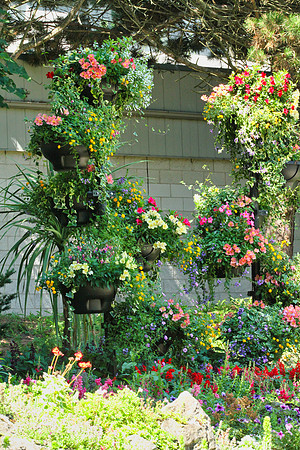 Oshawa Botanical Gardens Aug 2/2021