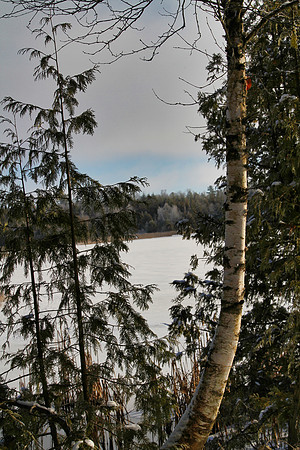 Secord Forest & Wildlife Jan 8/21