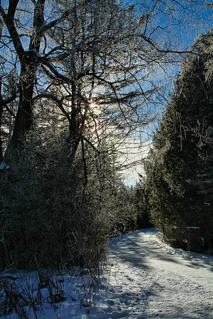 Secord Forest & Wildlife Jan 8/21