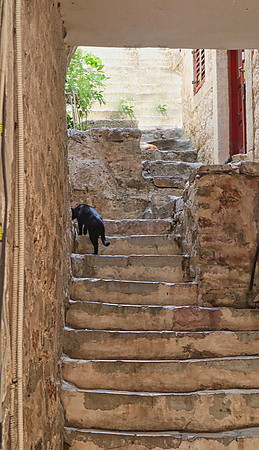 Kotor, Montenegro Sept 1/22