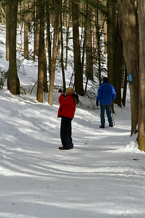 Hollidge Tract (entrance Ninth Line) Feb 10/21