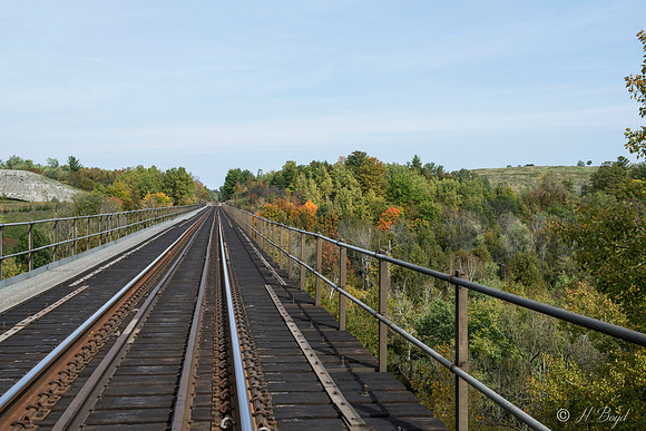 RR bridge