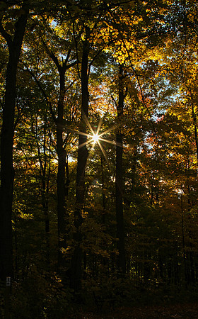 Purple Woods Conservation Area Oct 13/2020