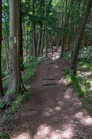 Seton Trail - North of Clarke's Hollow Parking