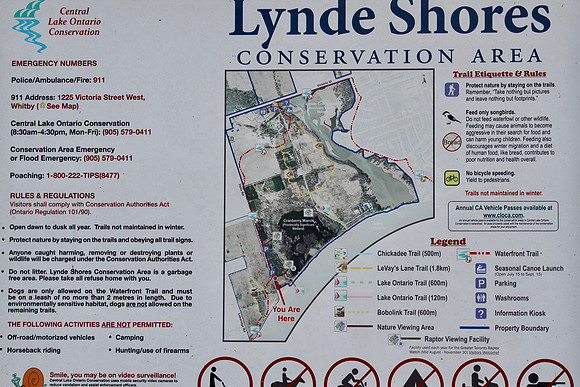 Lynde Shores Sept 15/2020