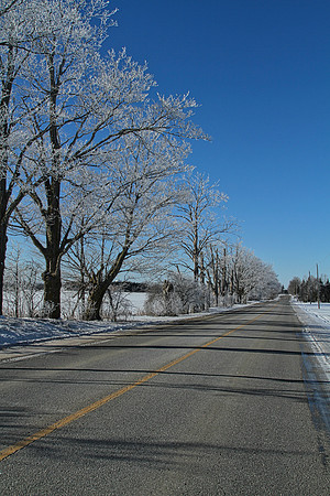 Webb Rd
