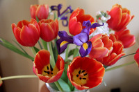 First Spring Bouquet (flowers purchased)