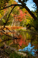 Skeleton River