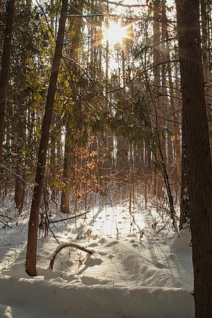Uxbridge Countryside Trails Jan 25/22
