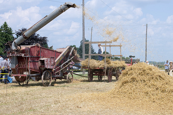 Seperating the wheat with old tractor, early days.
