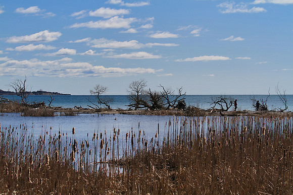 Lynde Shores Apr 19/2022