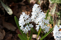 Springtime is here!