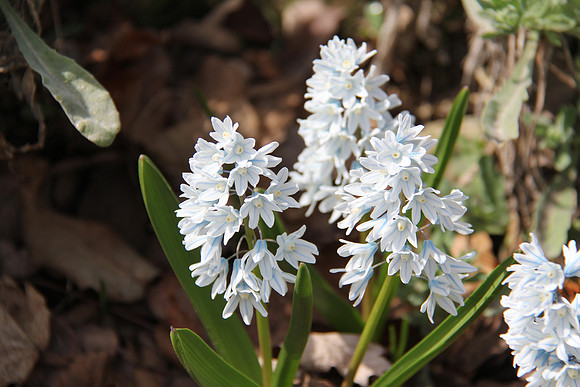 Springtime is here!