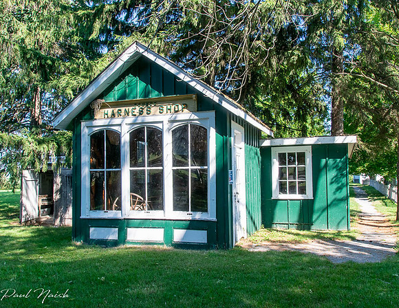 9. Harness Shop