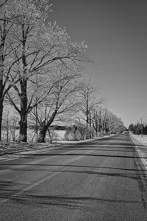 Webb Rd