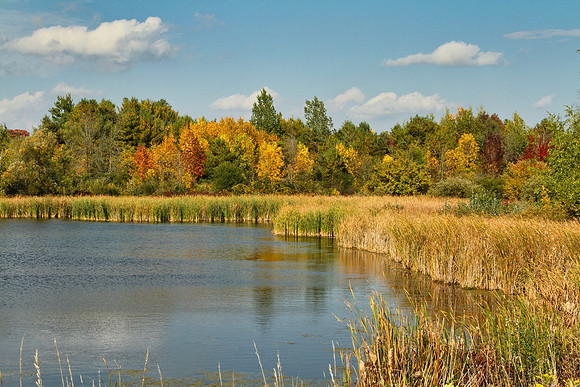 Stouffville Reservoir Sept 28/2020