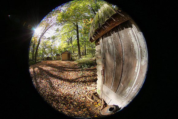 Purple Woods Conservation Area Oct 12/2021