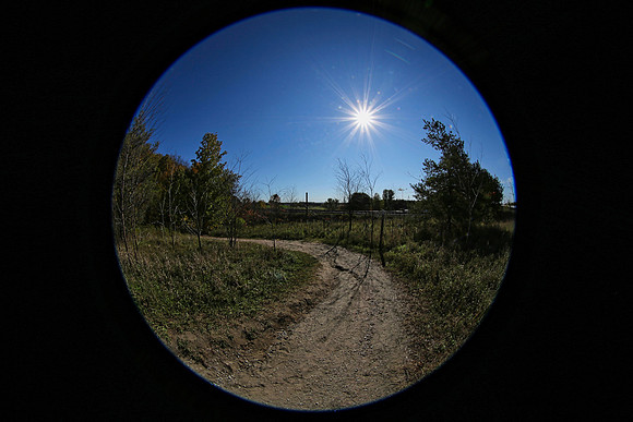 Purple Woods Conservation Area Oct 12/2021