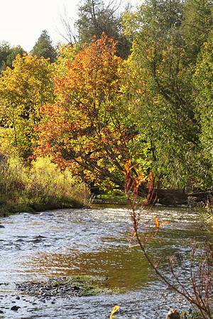 Seaton Hiking Trail Oct 28,2021
