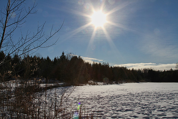 Coyote Trail Jan 20/21