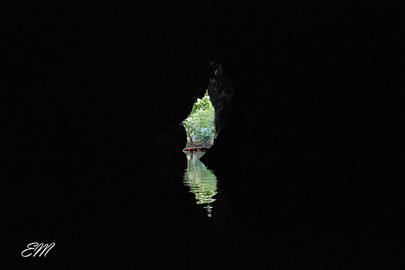 Back into the light !
