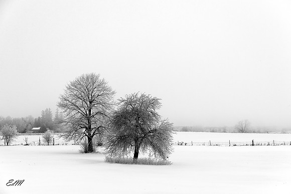 Lonely Landscape