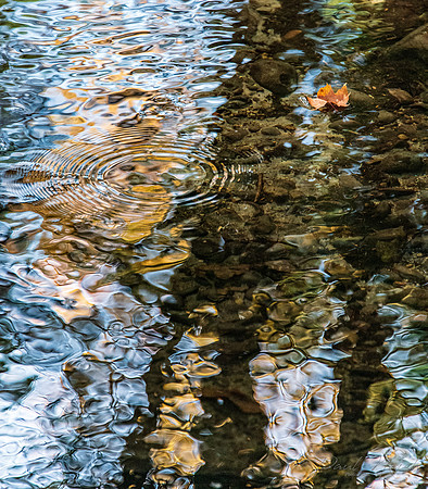 Reflections of Fall