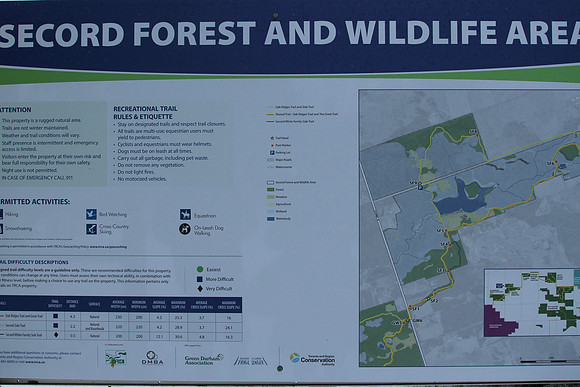 Secord Forest & Wildlife Jan 8/21