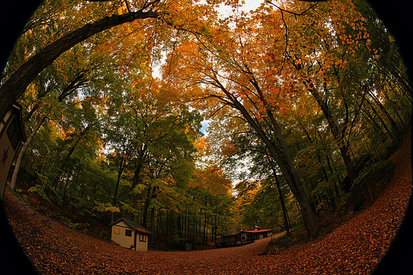 Purple Woods Conservation Area Oct 13/2020