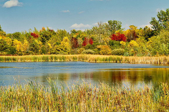 Stouffville Reservoir Sept 28/2020