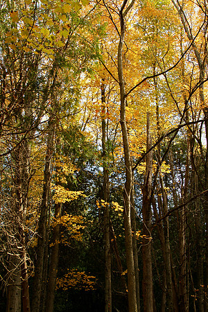 Seaton Hiking Trail Oct 28,2021