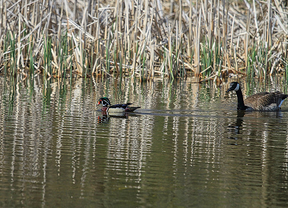 Lynde Shores May 5,2022