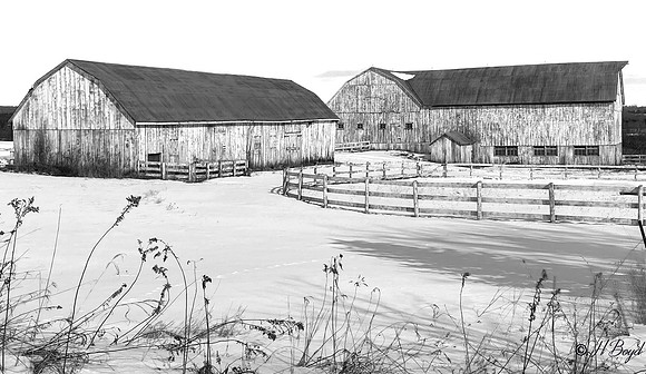 Farm