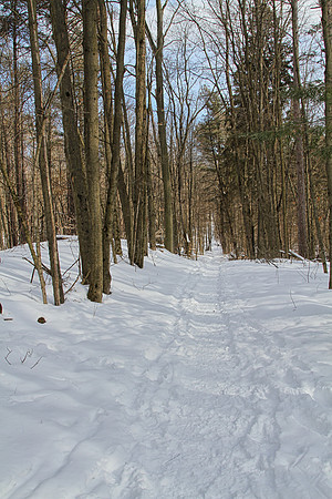 Hollidge Tract (entrance Ninth Line) Feb 10/21