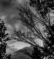 Storm Coming