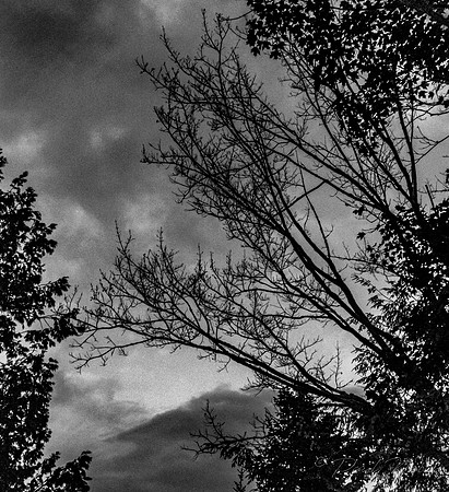 Storm Coming