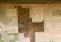 Durham Regional Forest Main Tract Oct 6/2020