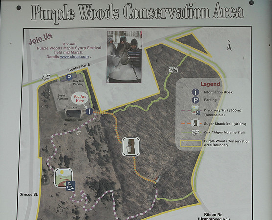 Purple Woods Conservation Area Oct 13/2020