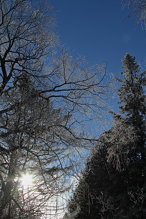 Secord Forest & Wildlife Jan 8/21