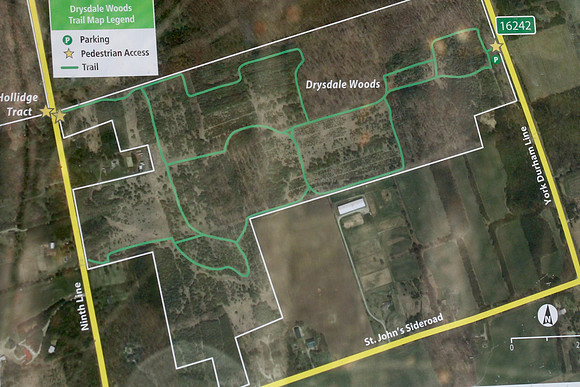 Drysdale Woods Mar 12/2021