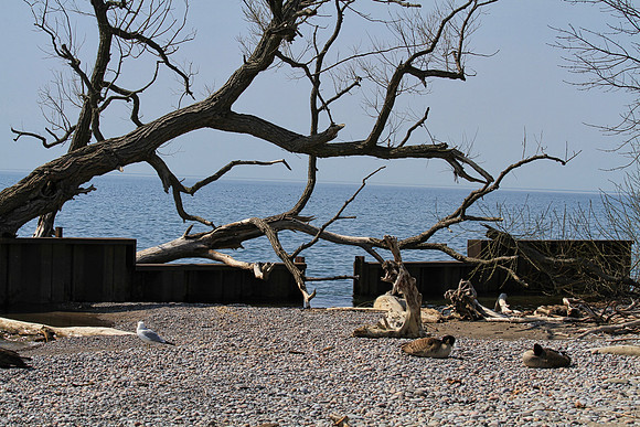 Lynde Shores May 5,2022