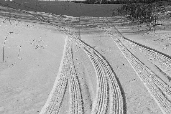 Tracks