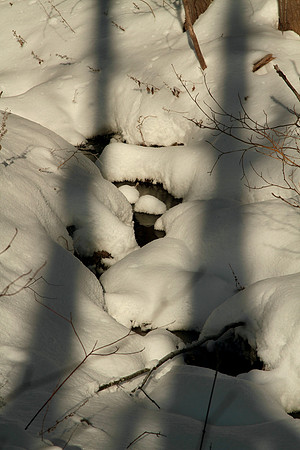 Uxbridge Countryside Trails Jan 25/22