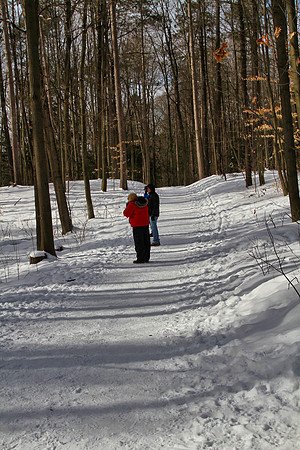 Hollidge Tract (entrance Ninth Line) Feb 10/21