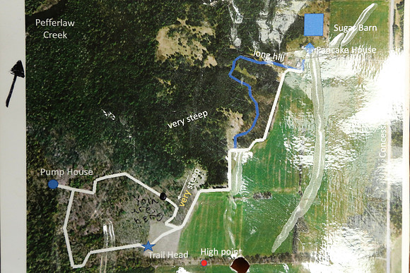 Pefferlaw Creek Farms Oct 20/2020
